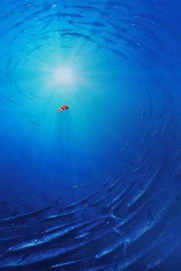 Plakat do filmu "Gdzie jest Nemo" #171060