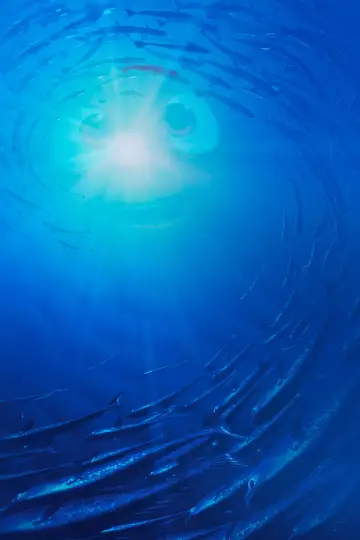 Plakat do filmu "Gdzie jest Nemo" #171067
