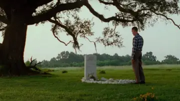 Zasłona do filmu "Forrest Gump" #528544