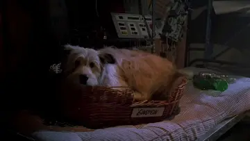 Zasłona do filmu "Powrót do przyszłości II" #647311