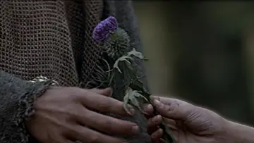 Zasłona do filmu "Braveheart - Waleczne Serce" #181640