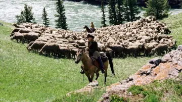 Zasłona do filmu "Tajemnica Brokeback Mountain" #186444