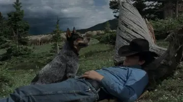 Zasłona do filmu "Tajemnica Brokeback Mountain" #753818