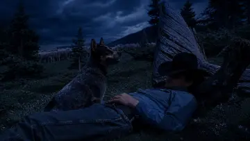 Zasłona do filmu "Tajemnica Brokeback Mountain" #913180