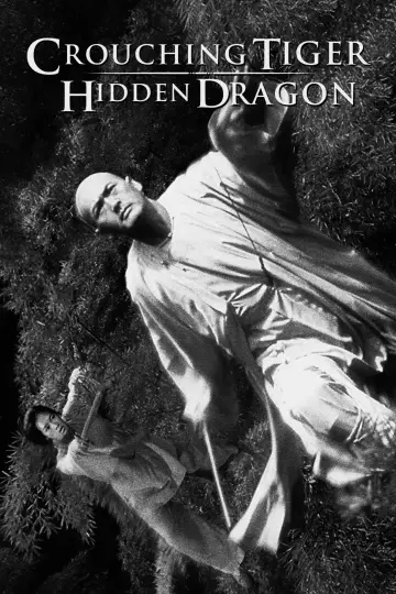 Plakat do filmu "Przyczajony Tygrys, Ukryty Smok" #838803