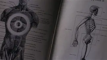 Zasłona do filmu "Donnie Darko" #528233