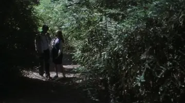 Zasłona do filmu "Donnie Darko" #528241