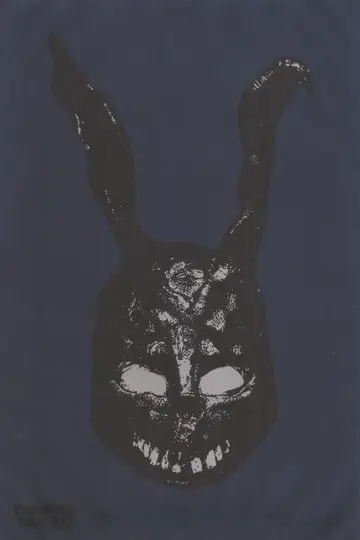 Plakat do filmu "Donnie Darko" #528370