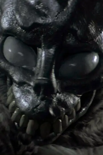 Plakat do filmu "Donnie Darko" #838935