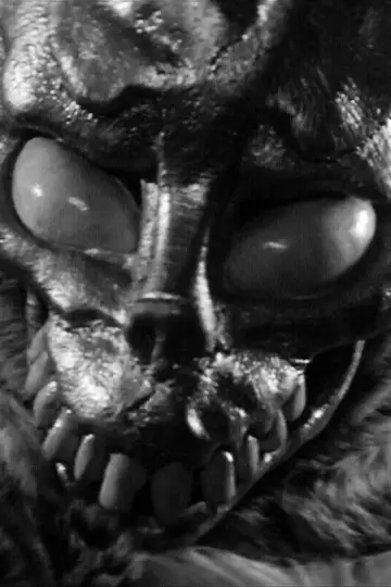 Plakat do filmu "Donnie Darko" #838938
