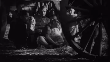 Zasłona do filmu "Dziwolagi" #753624