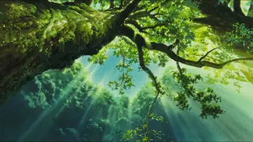 Zasłona do filmu "Księżniczka Mononoke" #1206830