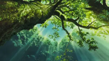 Zasłona do filmu "Księżniczka Mononoke" #517607