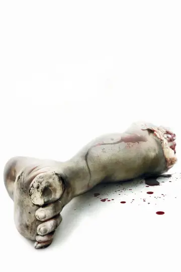Plakat do filmu "Piła" #608572
