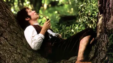 Zasłona do filmu "Władca Pierścieni: Drużyna Pierścienia" #165872