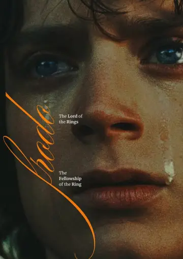 Plakat do filmu "Władca Pierścieni: Drużyna Pierścienia" #1893324