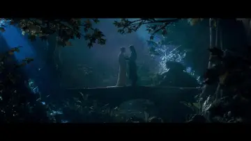 Zasłona do filmu "Władca Pierścieni: Drużyna Pierścienia" #828226