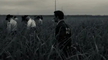 Zasłona do filmu "Władca Pierścieni: Powrót króla" #748539