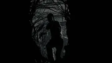 Zasłona do filmu "Władca Pierścieni: Powrót króla" #748557
