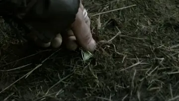Zasłona do filmu "Władca Pierścieni: Dwie wieże" #516383