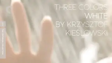 Zasłona do filmu "Trzy kolory: Biały" #705505