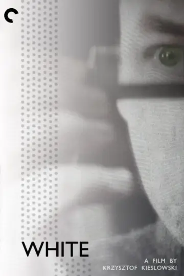 Plakat do filmu "Trzy kolory: Biały" #99650