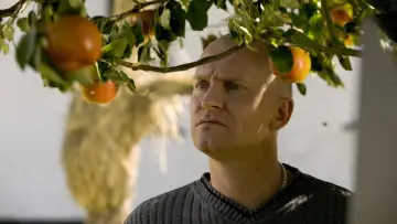 Zasłona do filmu "Jabłka Adama" #214143