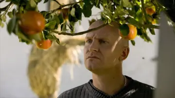 Zasłona do filmu "Jabłka Adama" #214146