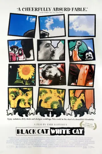Plakat do filmu "Czarny kot, biały kot" #201383