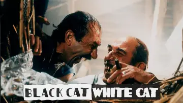 Zasłona do filmu "Czarny kot, biały kot" #874054