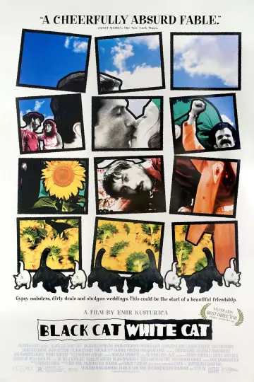 Plakat do filmu "Czarny kot, biały kot" #874057