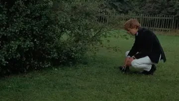 Zasłona do filmu "Powiększenie" #906585