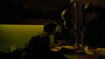Zasłona do filmu "Powiększenie" #906597