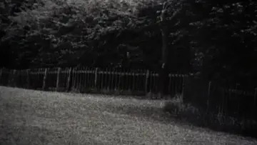 Zasłona do filmu "Powiększenie" #906602