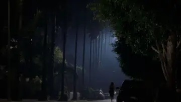Zasłona do filmu "Mulholland Drive" #608672