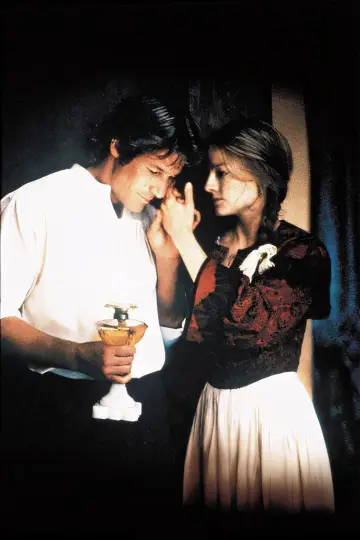 Plakat do filmu "Sommersby" #648376