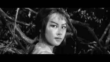 Zasłona do filmu "Ukryta forteca" #1201990