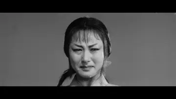 Zasłona do filmu "Ukryta forteca" #1201993