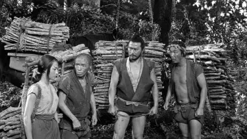 Zasłona do filmu "Ukryta forteca" #1648150