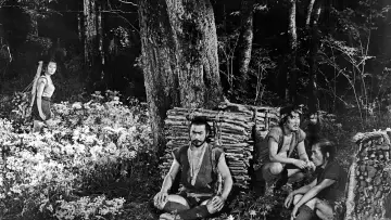 Zasłona do filmu "Ukryta forteca" #181175
