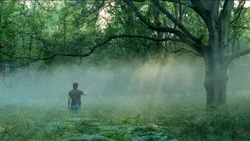 Zasłona do filmu "W stronę słońca" #458391