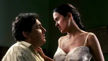 Zasłona do filmu "Frida" #217030