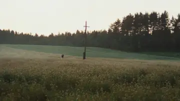Zasłona do filmu "Zwierciadło" #1202091