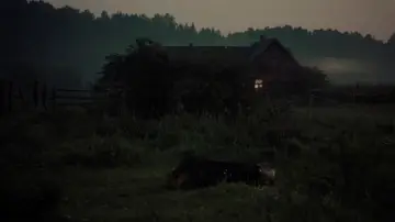 Zasłona do filmu "Zwierciadło" #751475