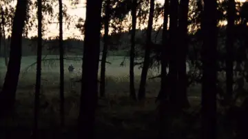 Zasłona do filmu "Zwierciadło" #751477