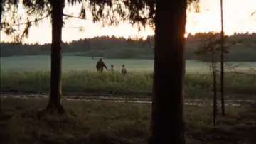 Zasłona do filmu "Zwierciadło" #798847