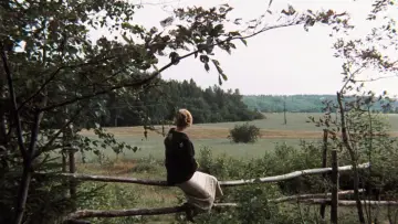 Zasłona do filmu "Zwierciadło" #965237