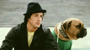 Zasłona do filmu "Rocky 2" #1827666