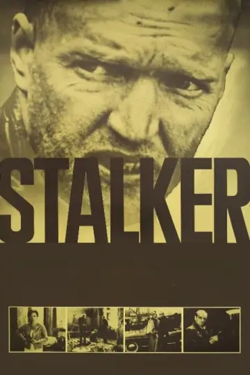 Plakat do filmu "Stalker" #176915