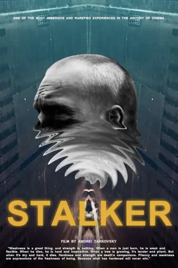 Plakat do filmu "Stalker" #176918